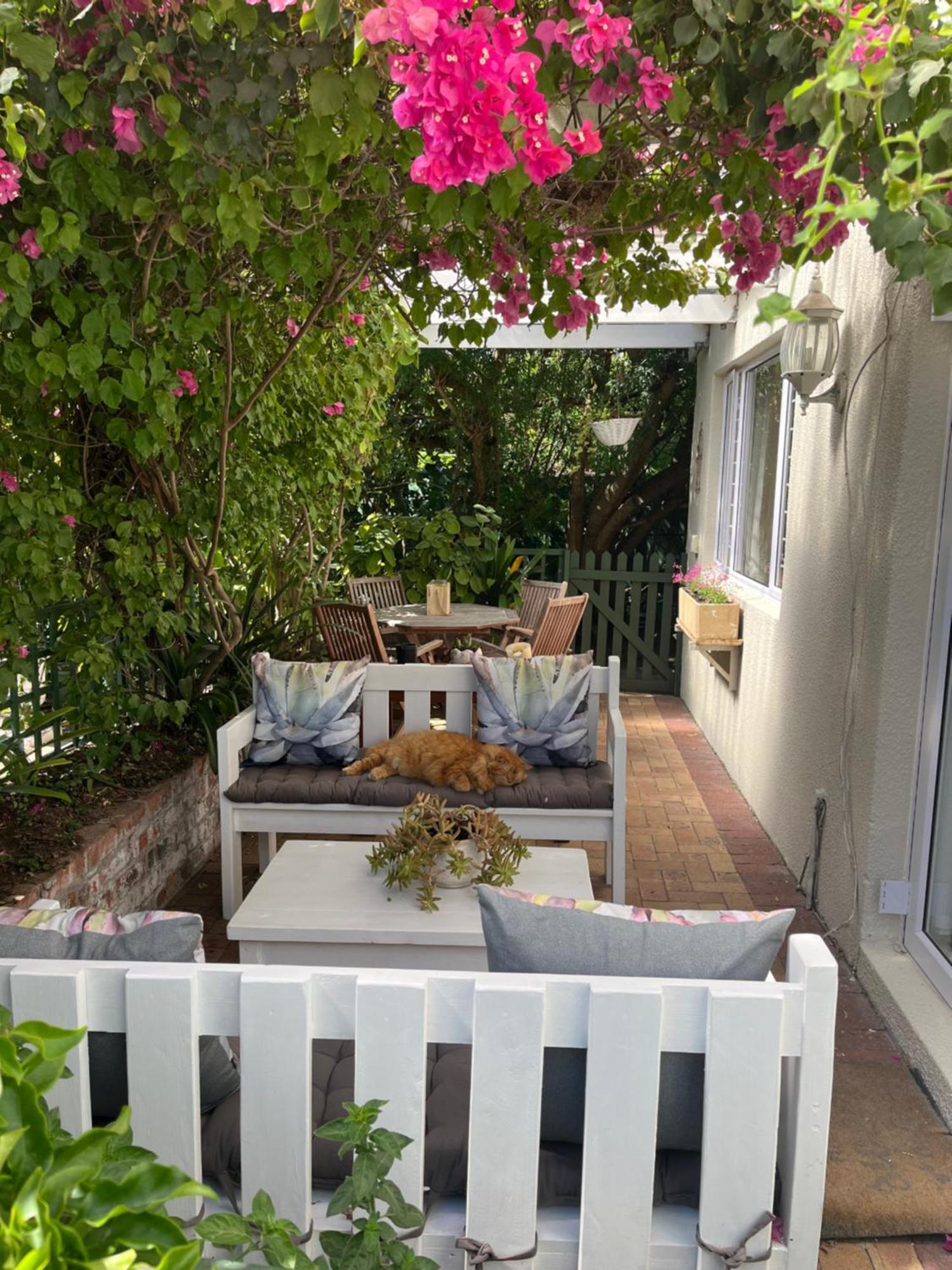 On Broadwalk Cottage Cape Town Ngoại thất bức ảnh